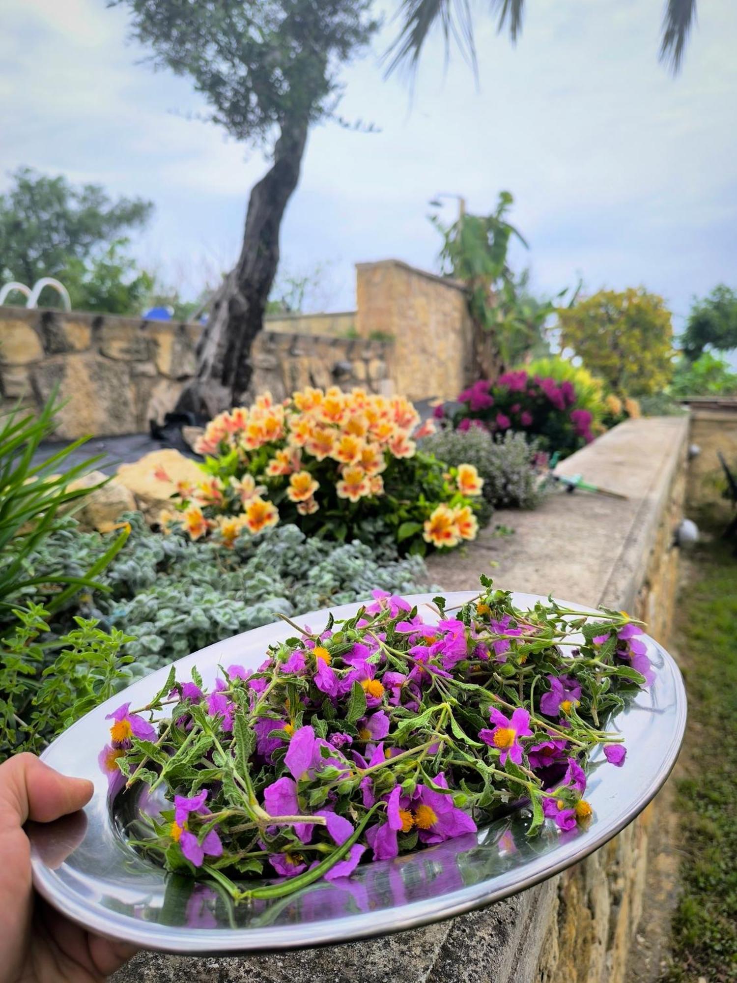Villa Koulouridi Daratsos Luaran gambar